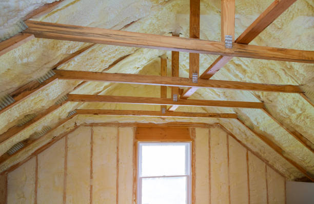 Best Residential Insulation Services  in Dalzell, SC