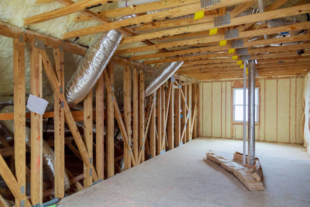 Best Insulation Replacement Services  in Dalzell, SC