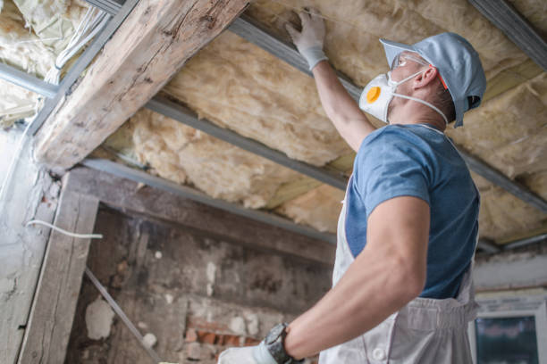 Best Local Insulation Services  in Dalzell, SC