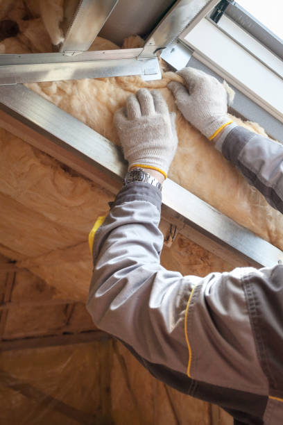 Best Residential Insulation Services  in Dalzell, SC