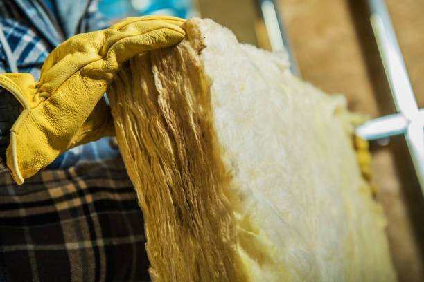 Best Best Insulation Companies  in Dalzell, SC